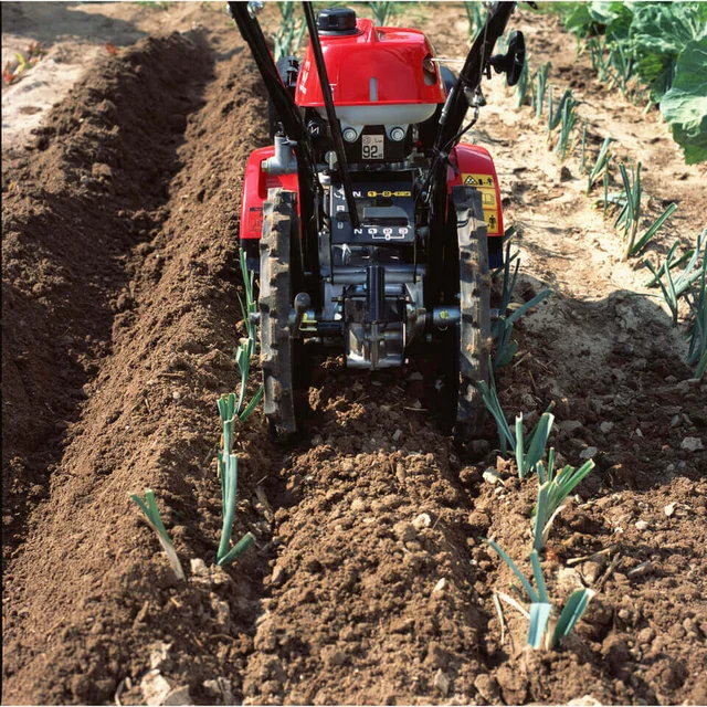 FF 500 Tuinfrees met tegengesteld draaiende rotors